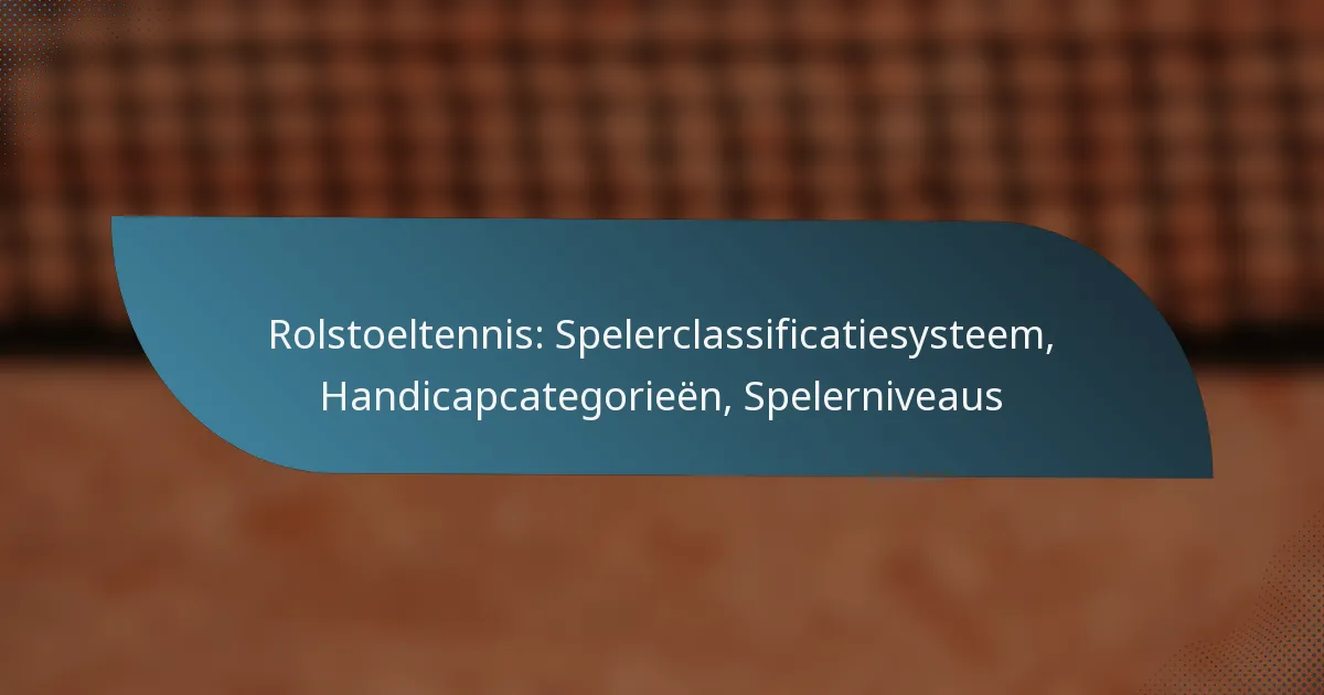 Rolstoeltennis: Spelerclassificatiesysteem, Handicapcategorieën, Spelerniveaus